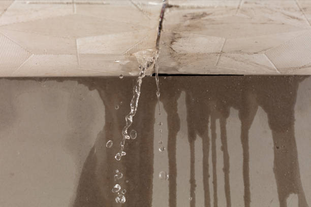 Professional Structural Drying technician working in Athens, PA